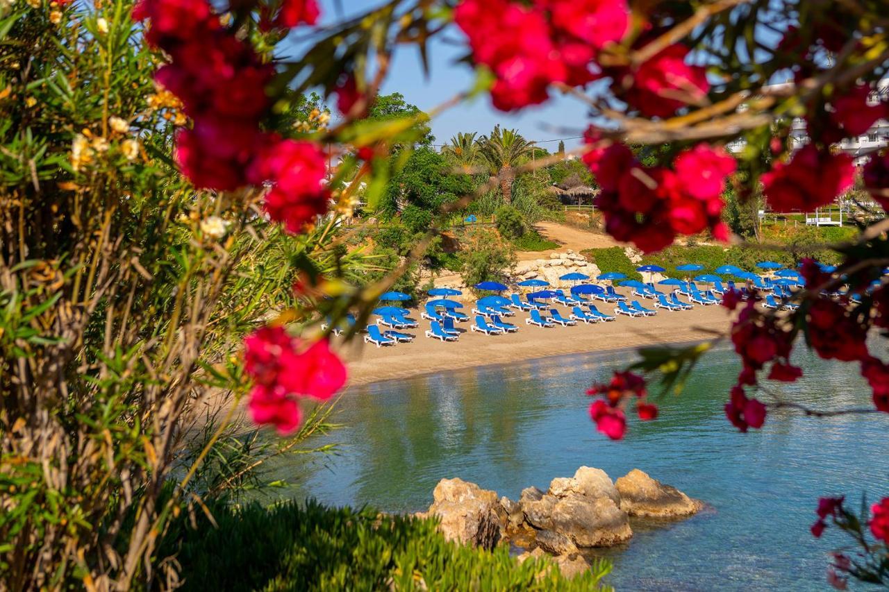 Ξενοδοχείο Crystal Springs Ξενοδοχείο Πρωταράς Εξωτερικό φωτογραφία